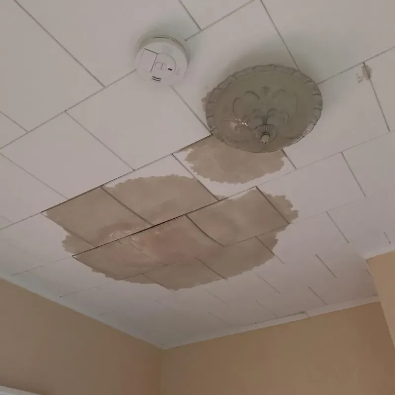 Ceiling Water Damage Repair in Manning, IA