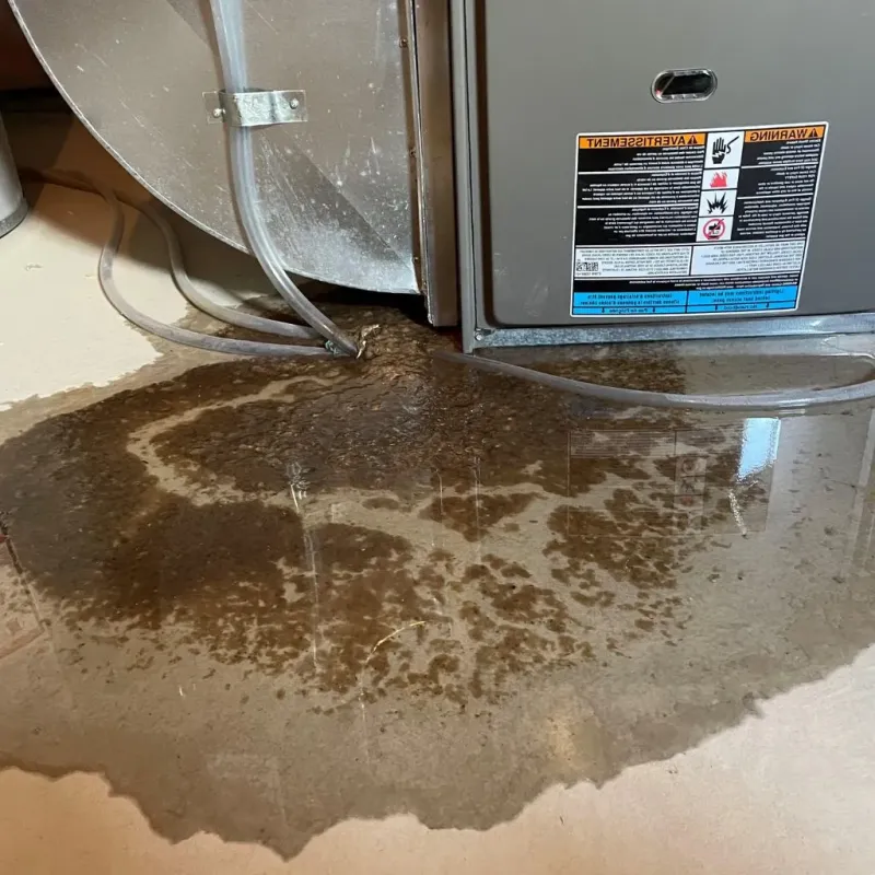 Pipe Burst and Leak Restoration in Manning, IA