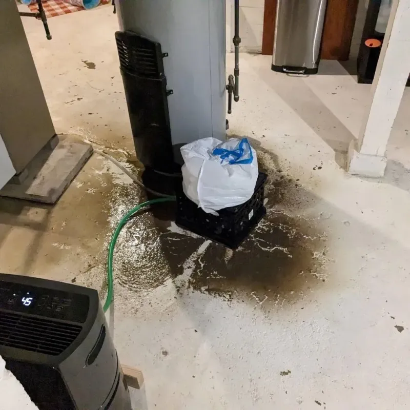Sewage Backup Cleanup Service in Manning, IA
